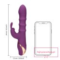 3 Up-and-Down Moving Rings Vibrator 3 Up-and-Down Moving Rings Vibrator