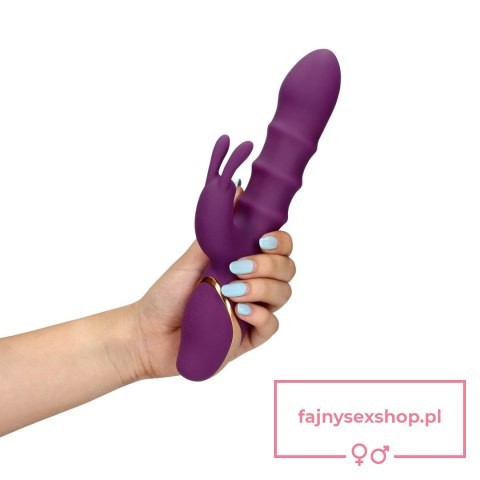 3 Up-and-Down Moving Rings Vibrator 3 Up-and-Down Moving Rings Vibrator