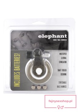 Cock & Ball Ring Elephant Transparent