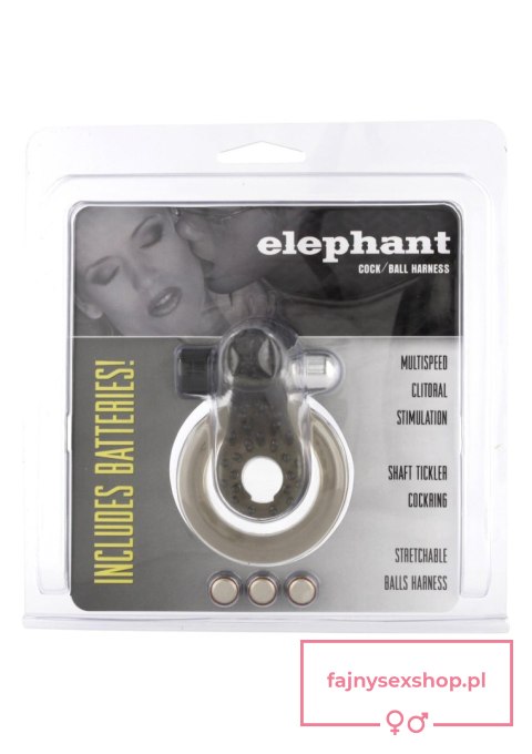 Cock & Ball Ring Elephant Transparent Cock & Ball Ring Elephant Transparent