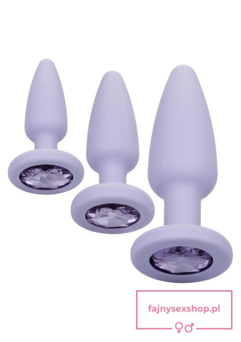 Crystal Booty Kit Purple Crystal Booty Kit Purple