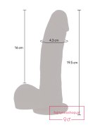 Magnetic Pulse Trusting Dildo Light skin tone