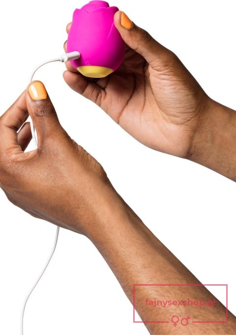 ROMP Rose - PINK ROMP Rose - PINK