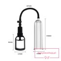 BAILE- PENIS PUMP