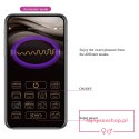 PRETTY LOVE - Elvira dark Purple, 12 vibration functions Mobile APP Long-distance Control PRETTY LOVE - Elvira dark Purple, 12 vibration functions Mobile APP Long-distance Control