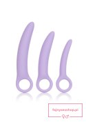 Alena Set of 3 Dilators Purple Alena Set of 3 Dilators Purple