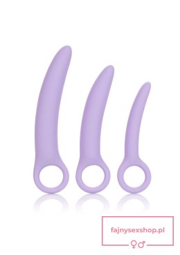 Alena Set of 3 Dilators Purple