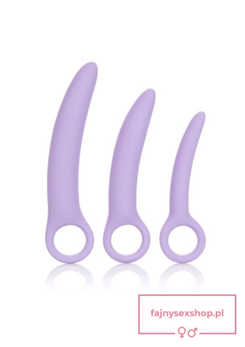 Alena Set of 3 Dilators Purple Alena Set of 3 Dilators Purple