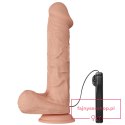 BAILE-Beautiful Bergrisi Vibration 10.2"""" BAILE-Beautiful Bergrisi Vibration 10.2""""