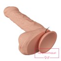 BAILE-Beautiful Bergrisi Vibration 10.2"""" BAILE-Beautiful Bergrisi Vibration 10.2""""