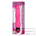 BAILE - VIBRATOR, MULTI-SPEED BAILE - VIBRATOR, MULTI-SPEED