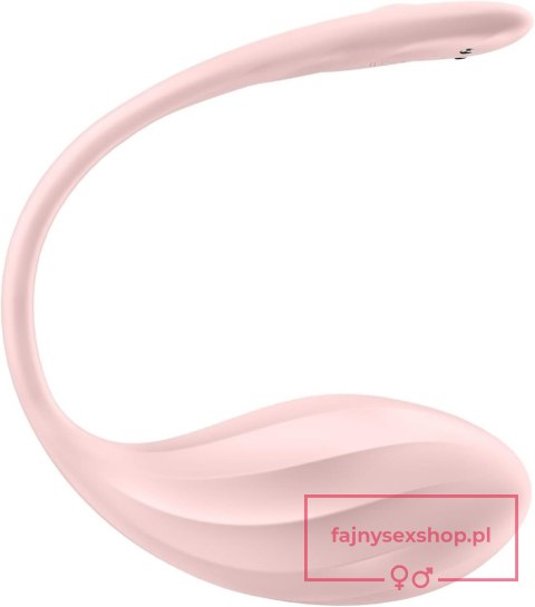 Ribbed Petal rose Connect App Ribbed Petal rose Connect App