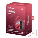Shiny Petal red Connect App