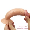 6"" Enduro Blaster Realistic Dong Flesh 6"" Enduro Blaster Realistic Dong Flesh