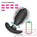 Bliss APP - Vibrating Anal Plug Bliss APP - Vibrating Anal Plug