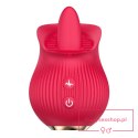 Vibrator - Petal Bliss Vibrator - Petal Bliss
