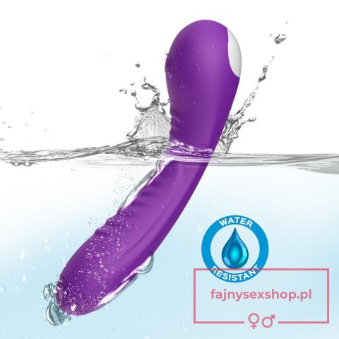 Legend purple Legend purple