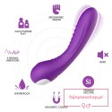 Legend purple Legend purple