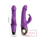 Zing purple Zing purple